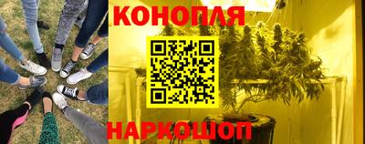 mdpv Лесосибирск