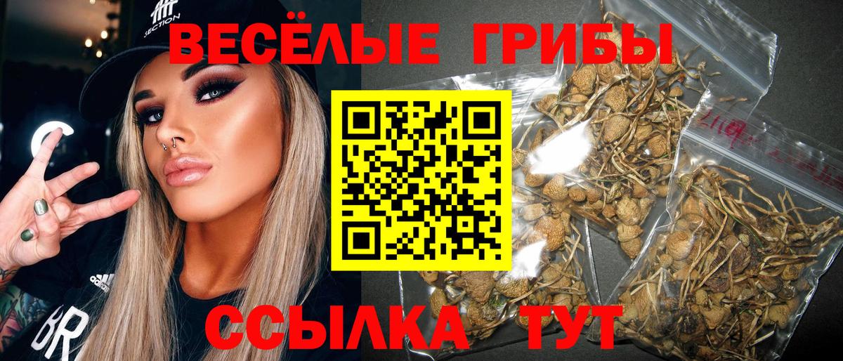 Псилоцибиновые грибы мухоморы  Вход с VPN  Знаменск 