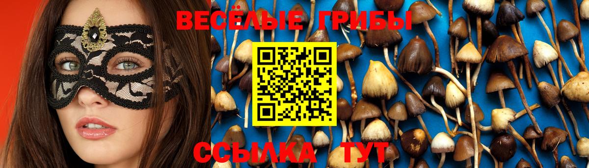 Галлюциногенные грибы Psilocybine cubensis Знаменск